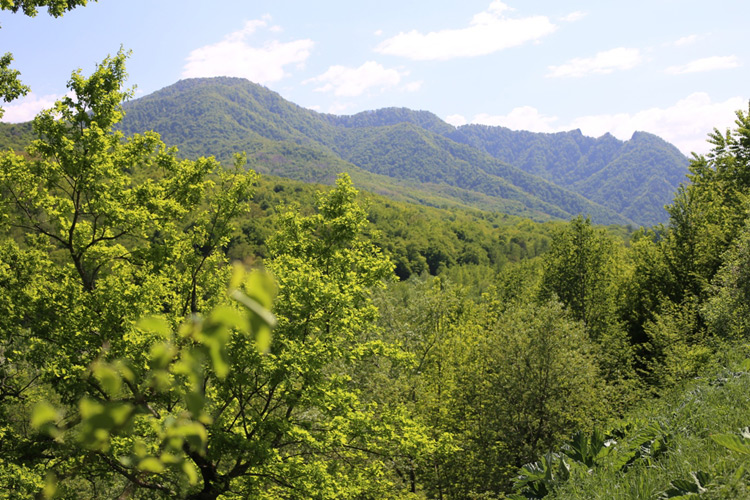 Ecological path in the mountainous Adygea <br />«By the trails of the wild cat» - Духовные таинства мира