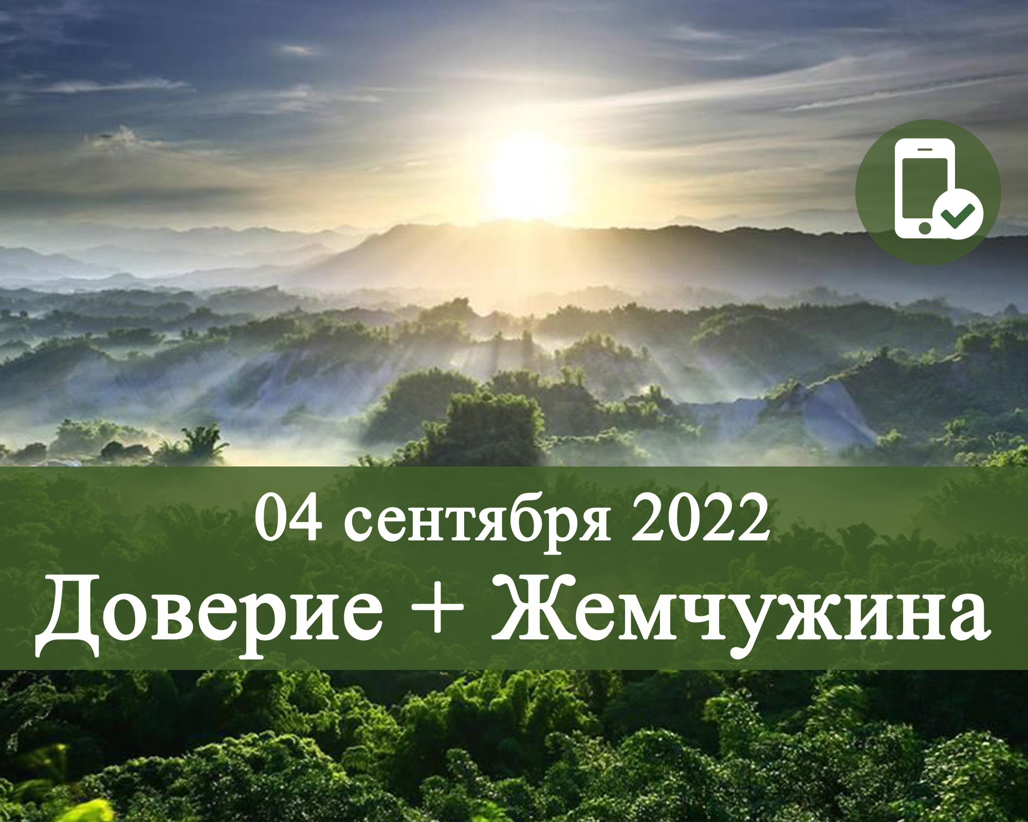 Вебинары 2022 год