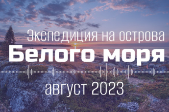 09-14 августа 2023 экспедиция на Белое море